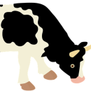 test"><b>aa test"><b>aa