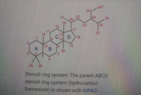 Role Of Steroids In Anaesthetic Practice