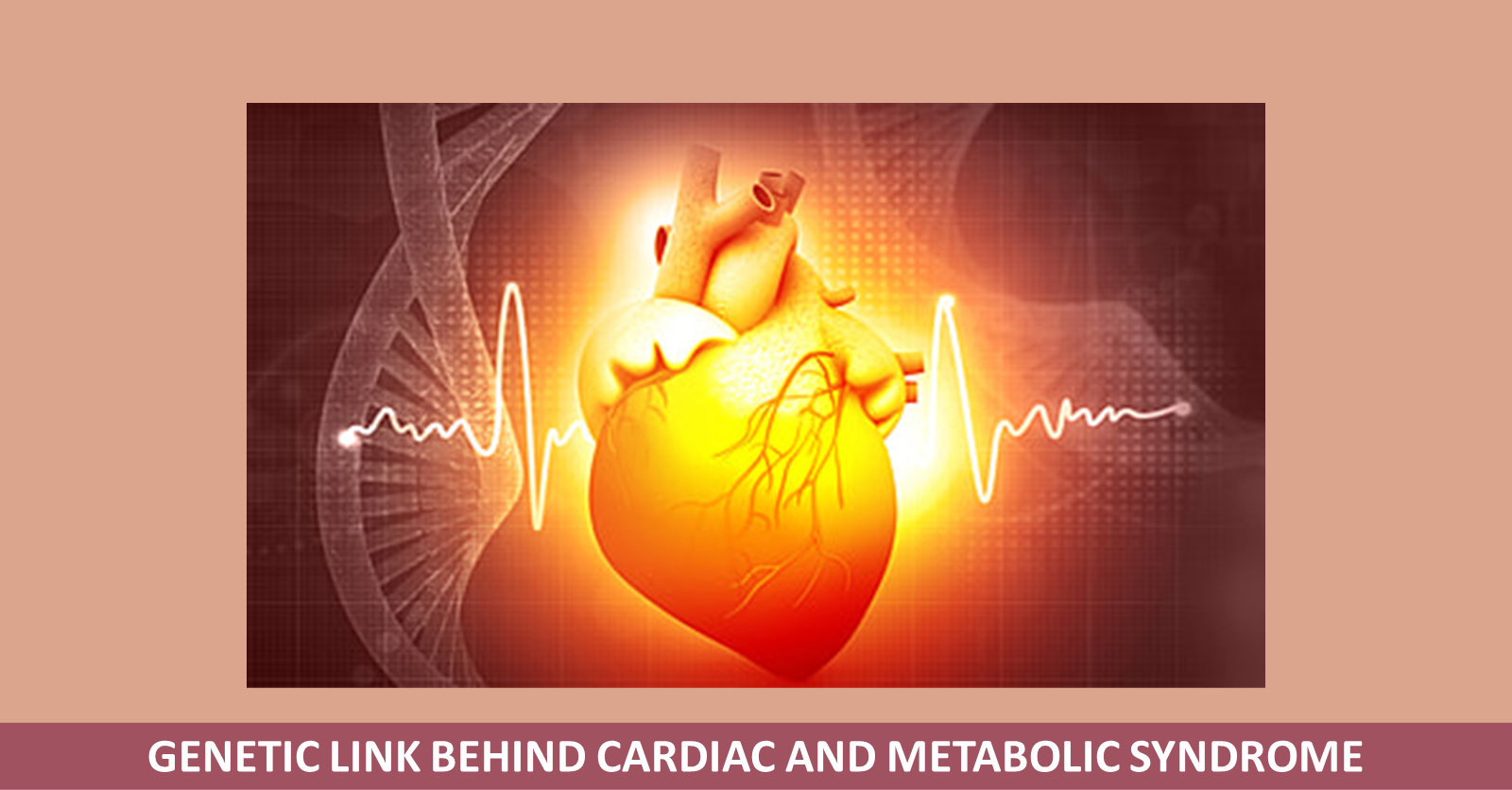 South Asia: Genetic Link Behind Cardiac And Metabolic Syndrome Decoded