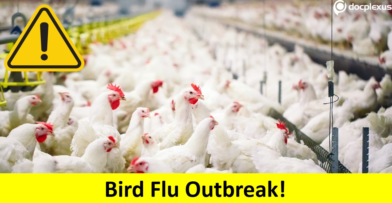 Avian Influenza Outbreak In India