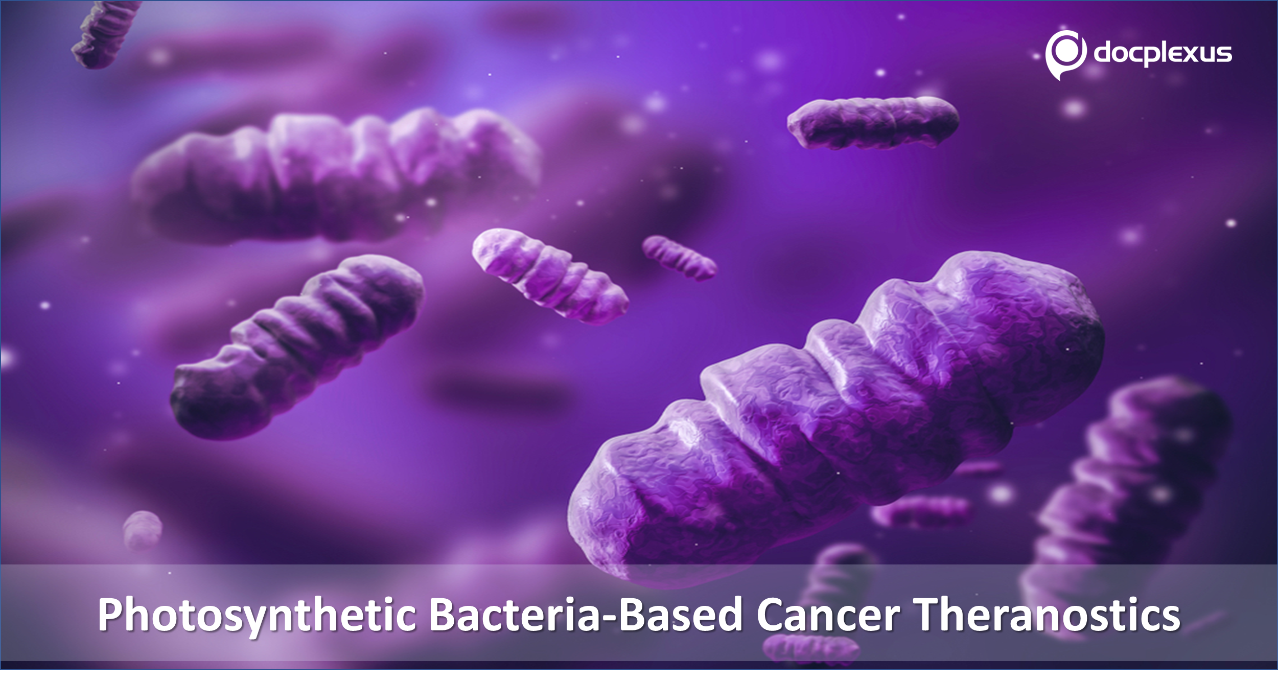 New Photosynthetic Bacteria-Based Cancer Theranostics