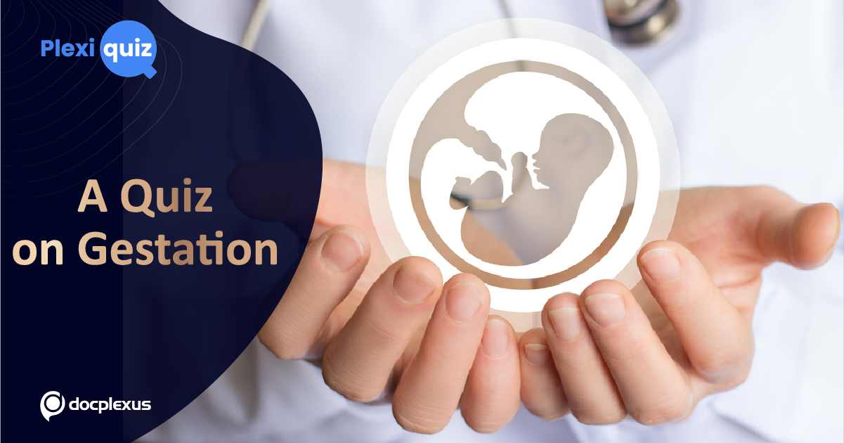 Can You Answer These Questions on Gestation?