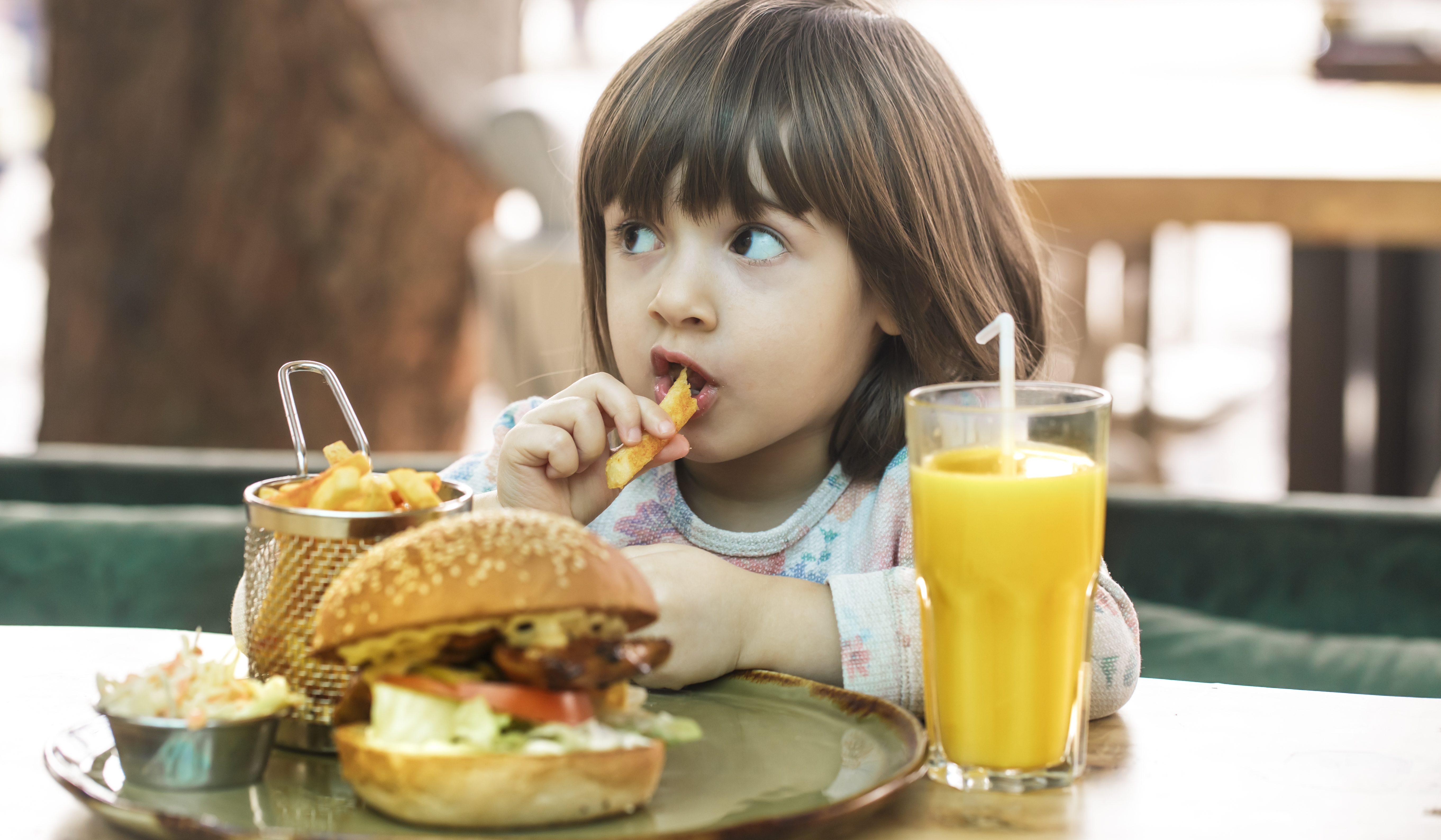 How Safe is The Fructose Sugar?