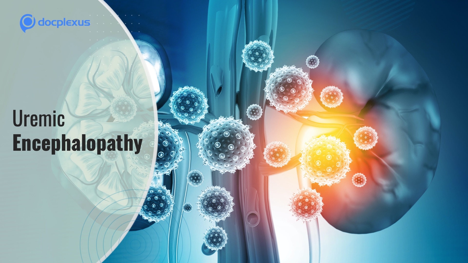 Uremic Encephalopathy in Patients with Kidney Diseases