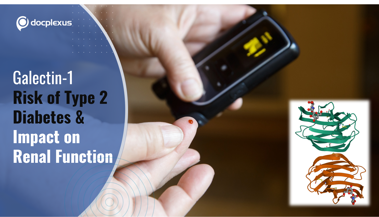 Galectin-1: A Potential Target for Renal Improvement in Diabetic Patients