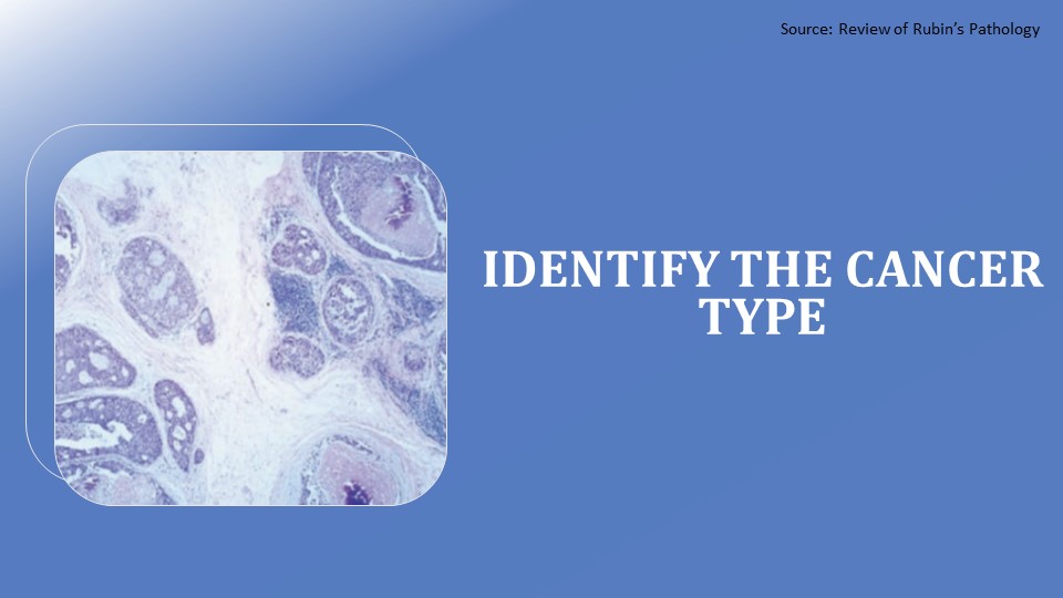 What’s Your Diagnosis for This Woman?