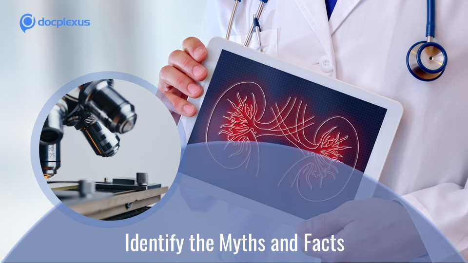 Kidney Transplant: Myths and Facts