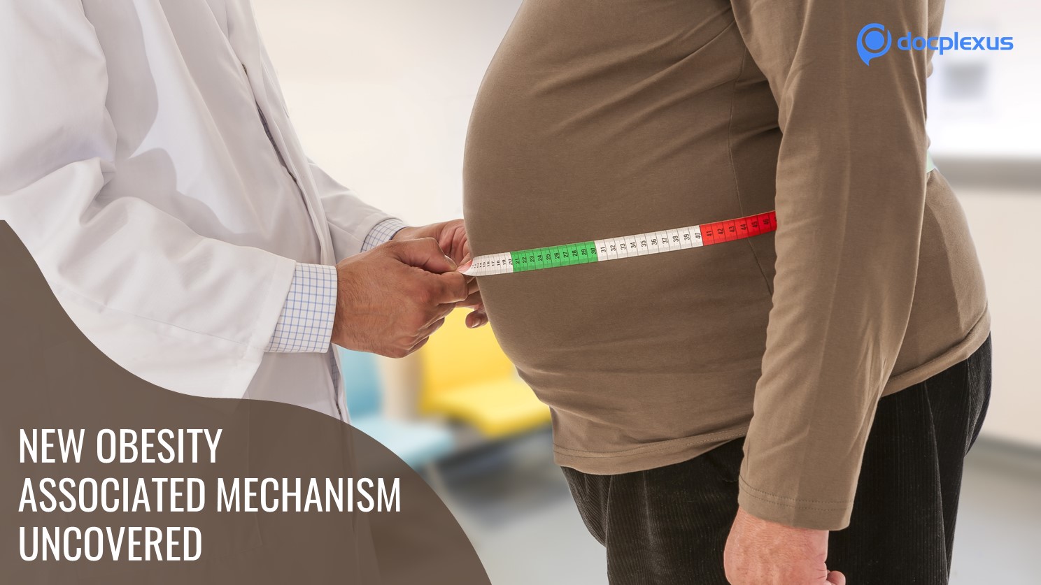 Researchers Uncover a New Obesity-associated Mechanism