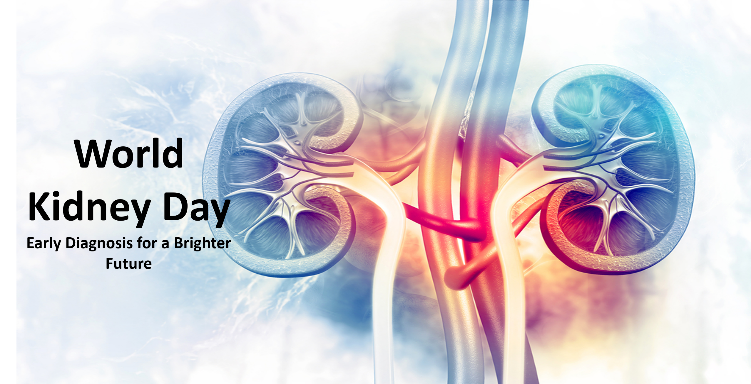 World Kidney Day: Test your Knowledge of Renal Diseases