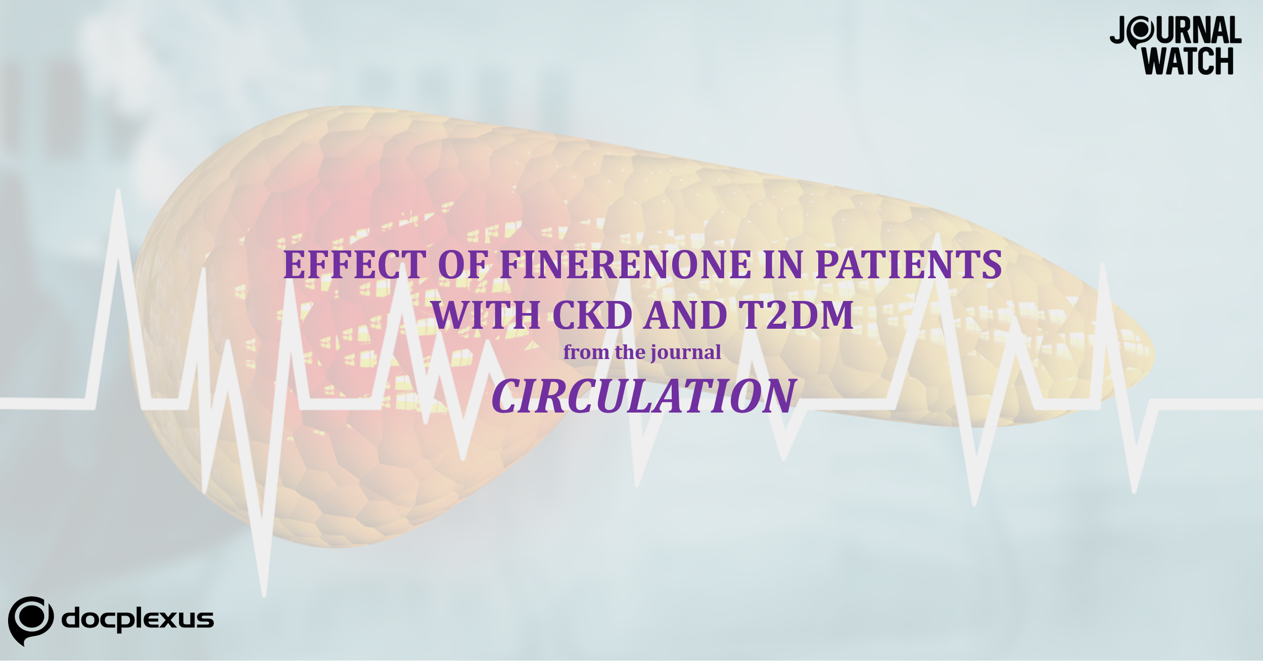 A Summary of FIDELIO-DKD Trial