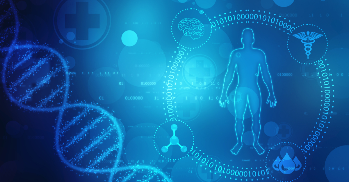 Interesting Human Body Facts