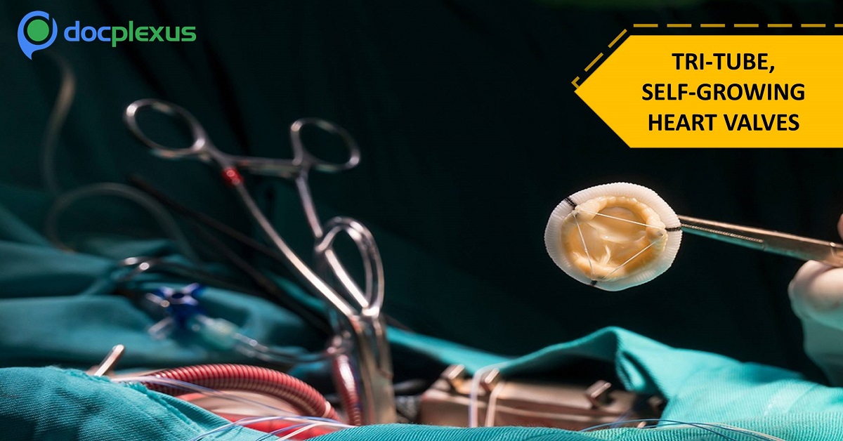 Lab-made, Self-growing Heart Valves