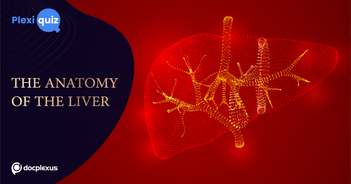 A Quiz on Liver Anatomy