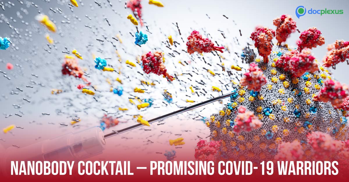 Promising Nanobodies Against SARS-CoV-2 and its Variants