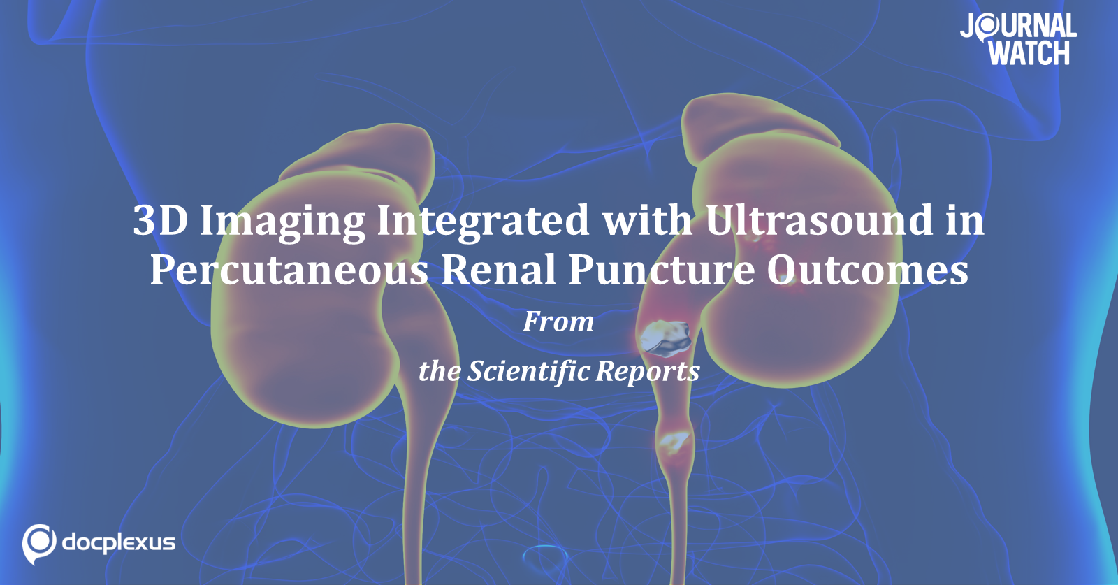 Implementation Of 3d Imaging Combined With Ultrasonography In Nephrolithotomy
