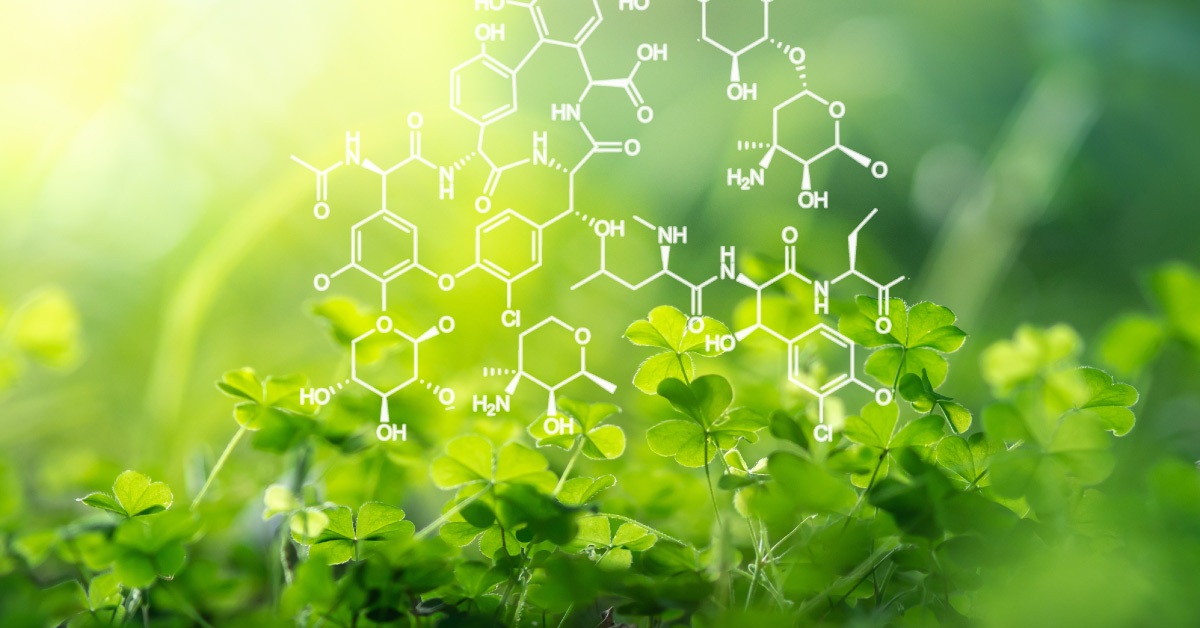 Few Anaerobic Bacteria Uses Reverse TCA Cycle to Survive in a Hydrothermal Environment