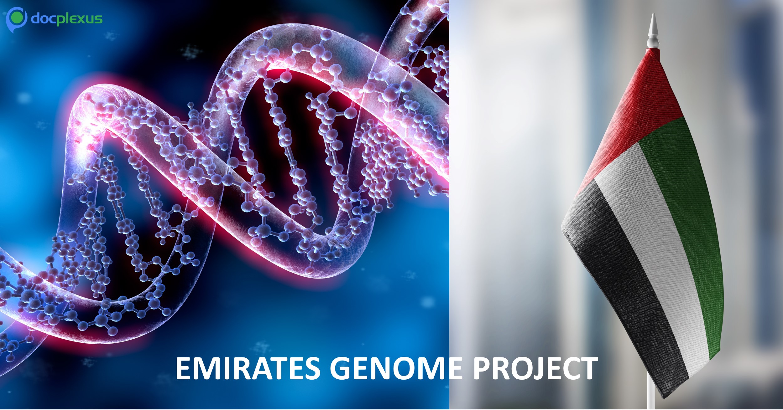 Emiratis Urged to Submit Blood Samples for Emirates Genome Project