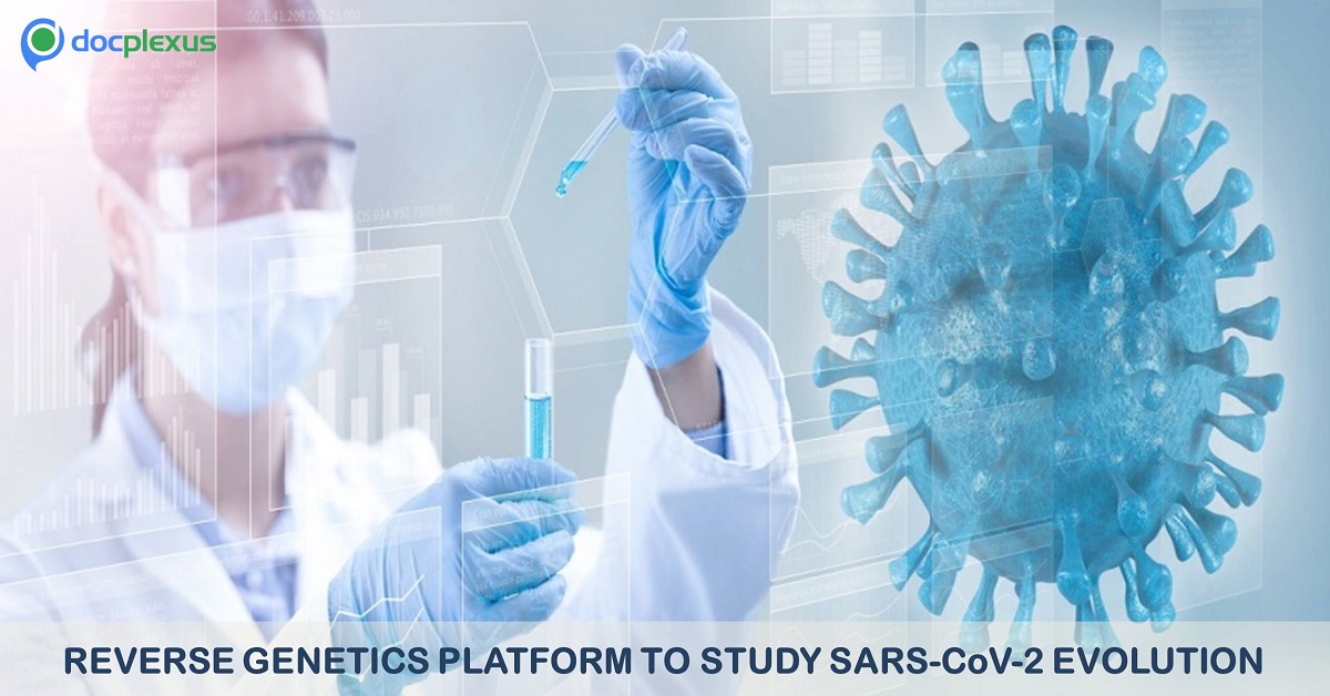 A Reverse Genetics Platform to Study SARS-CoV-2 Evolution in the Test-tube