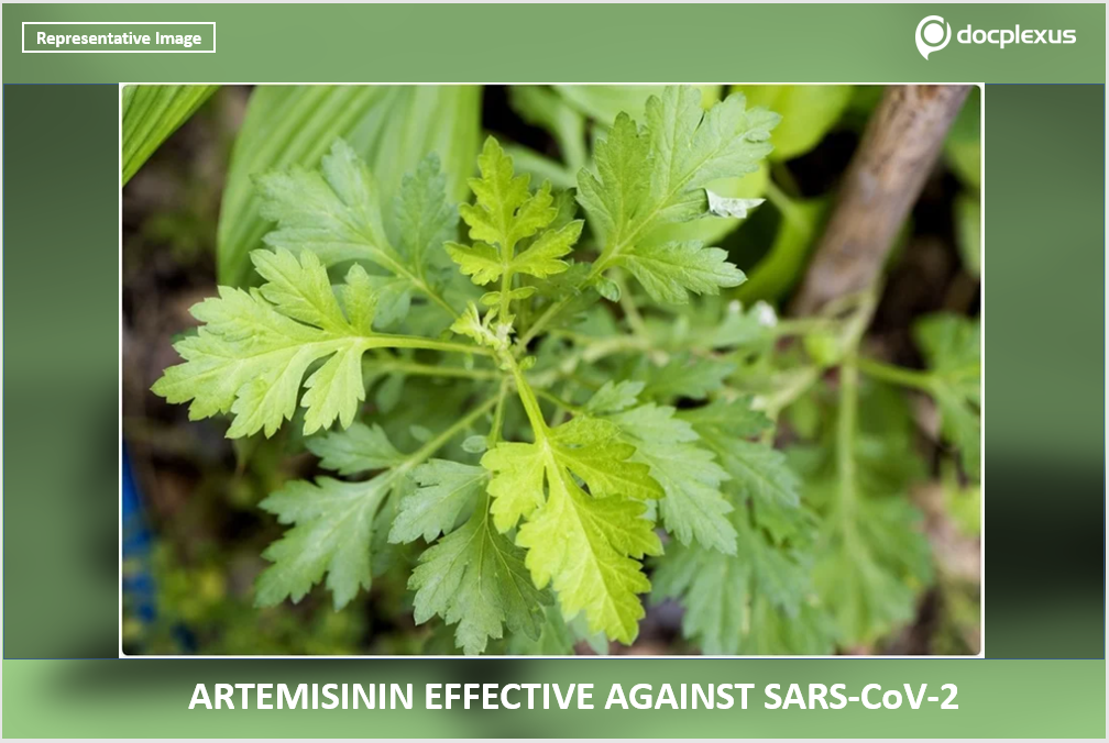 Artemisinin Effective Against SARS-CoV-2