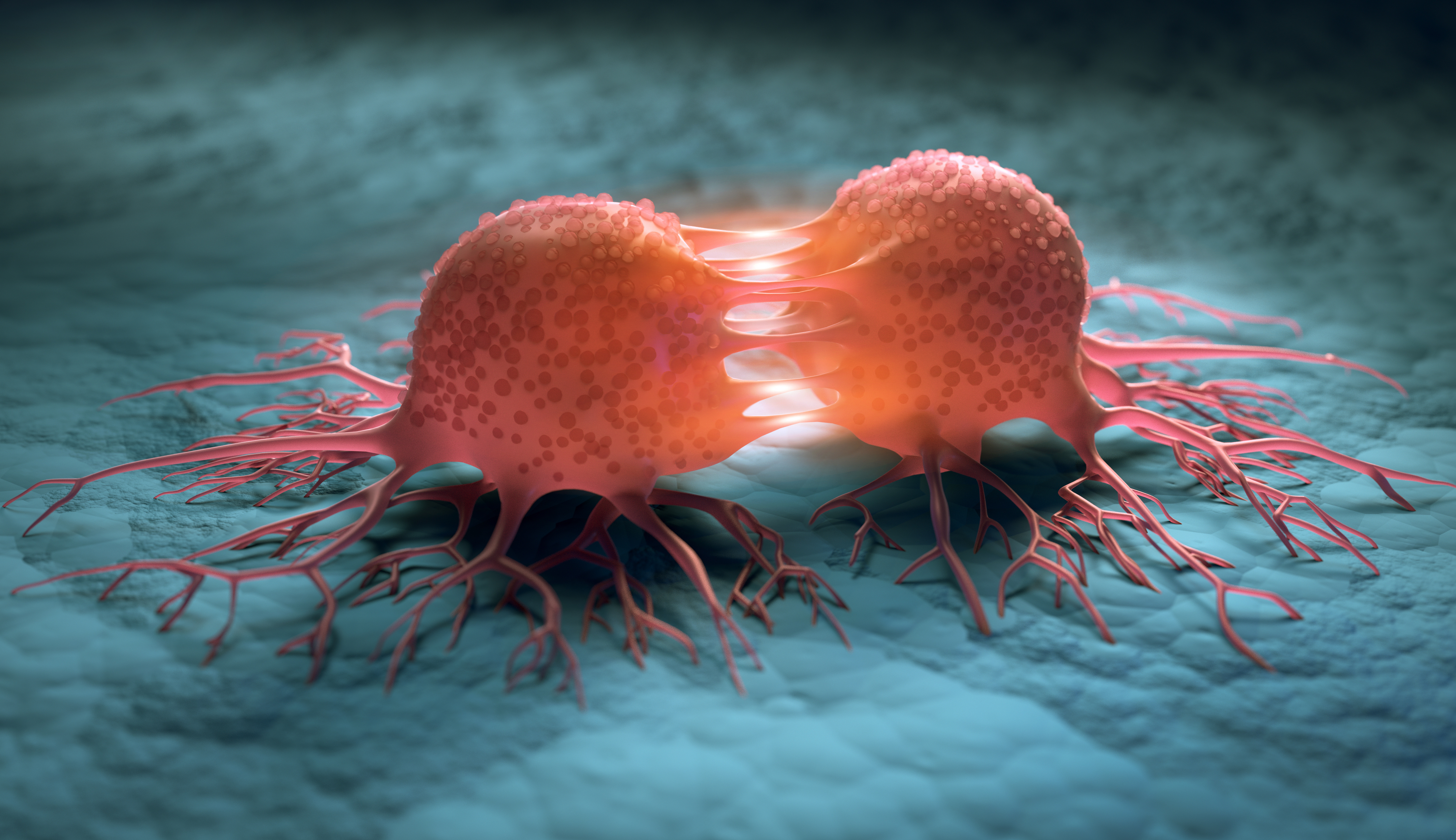 Neural G0 Phase for the Treatment of Brain Cancer