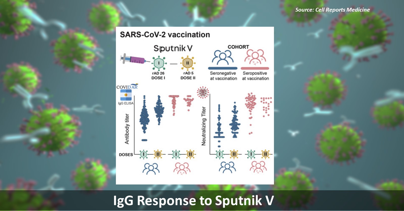 Single Dose of Sputnik V Elicits a Robust Antibody Response