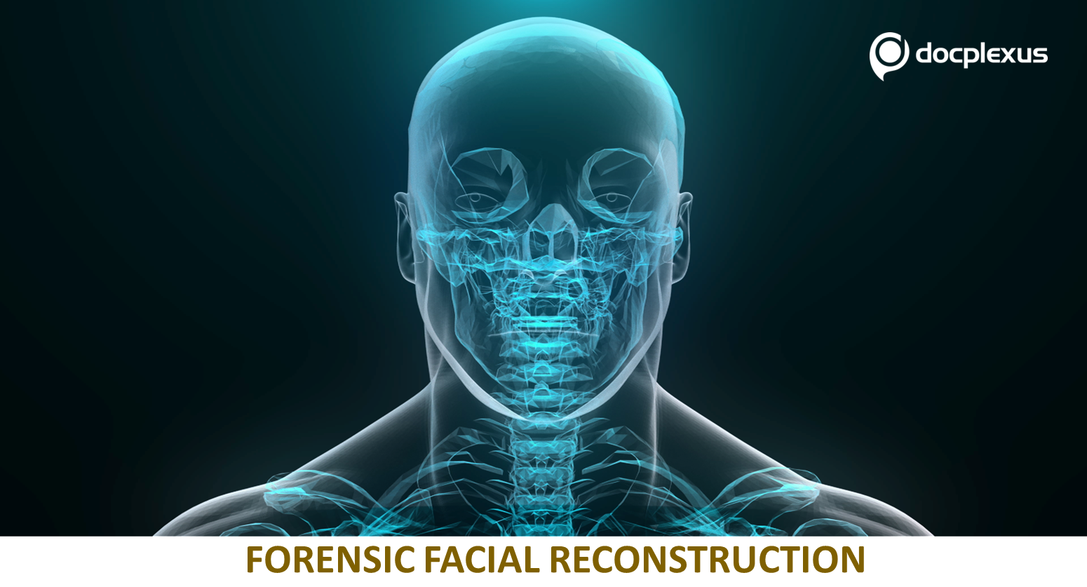 Forensic Facial Reconstruction