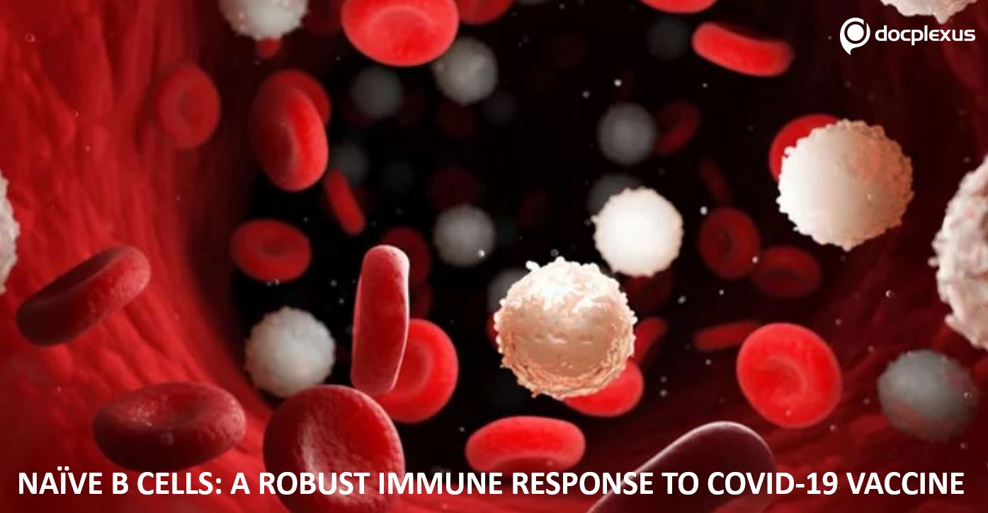 Naïve B cells: Can They Affect the Immune Response to COVID-19 Vaccines?