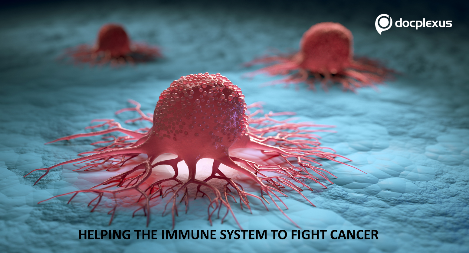 Engineering Immune Cells for 3D Migration: New Therapy Against Complex Tumors