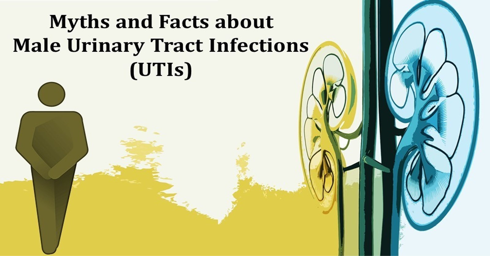 Mythbusters Around Male UTIs