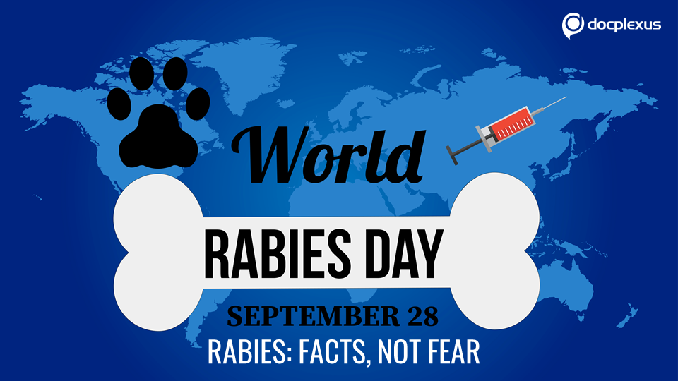 Rabies: Spread Facts, Not Fear