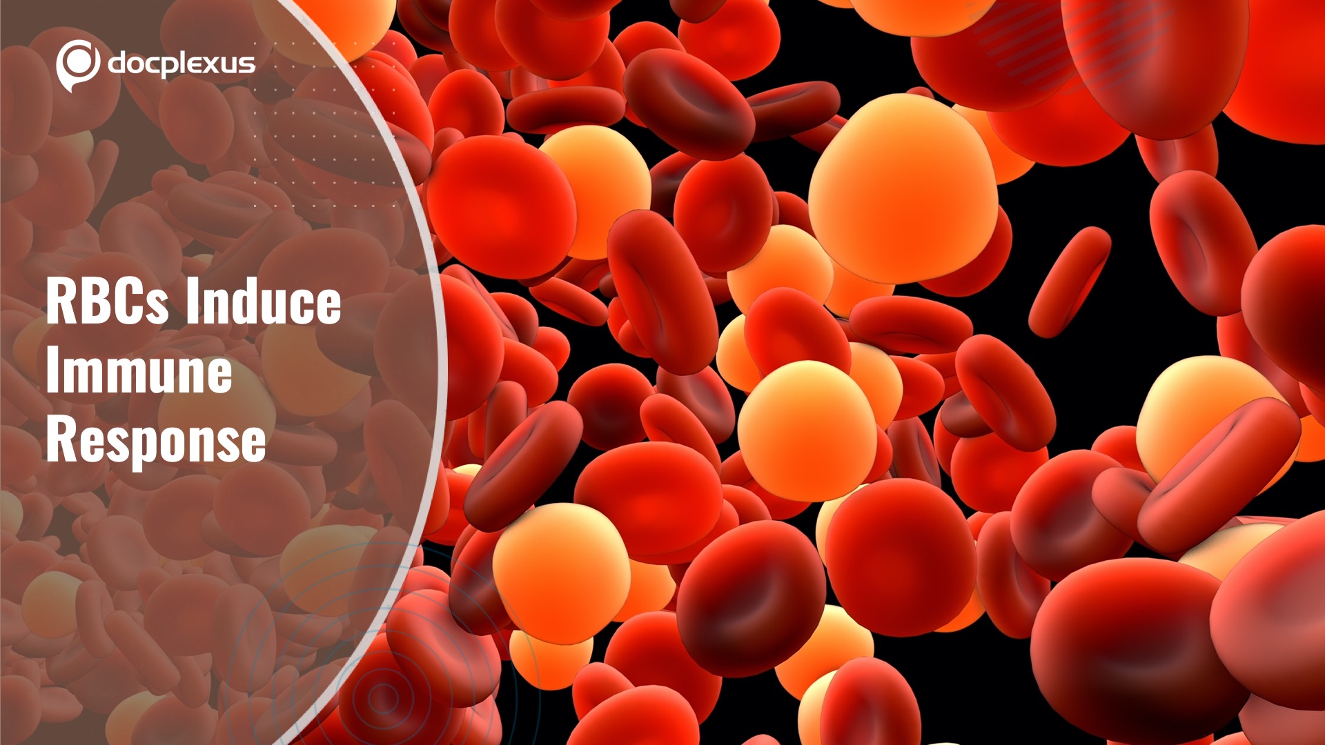 Study Reveals RBCs Participate in Immune Response