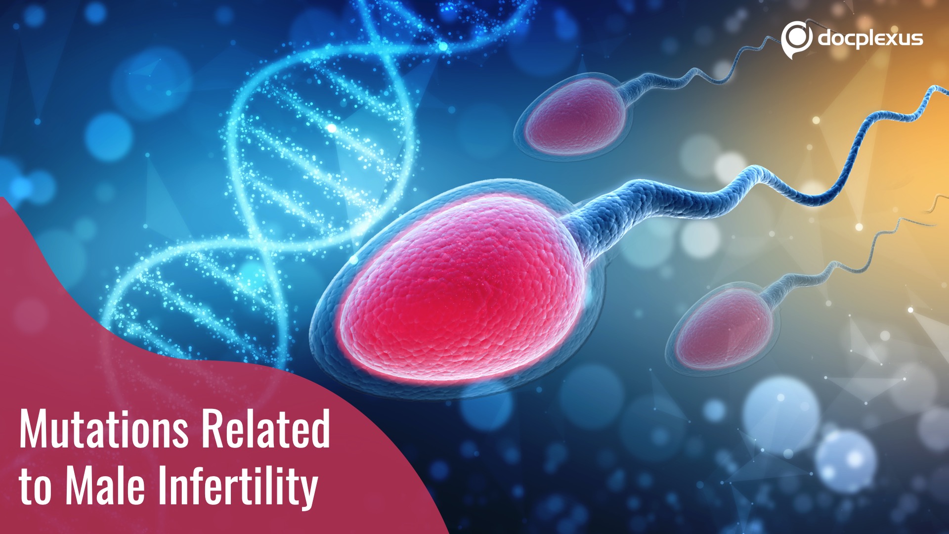 Male Infertility-related De novo Mutations