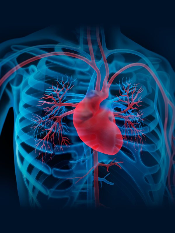 The Radial Artery in CABG – Greatly Improving Results of Surgery: The Art, the Science and the Medical Evidence