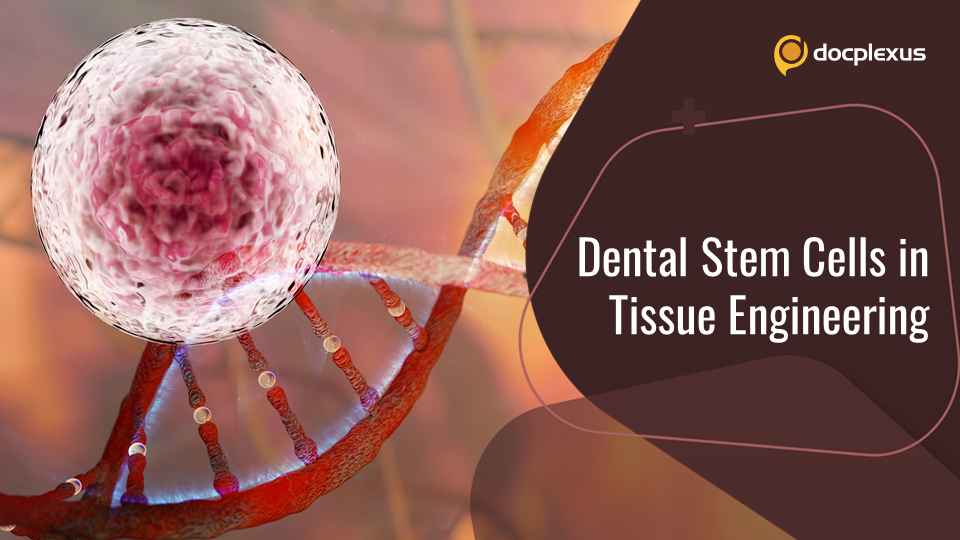 Tissue Engineering with Dental Stem Cells – An Overview