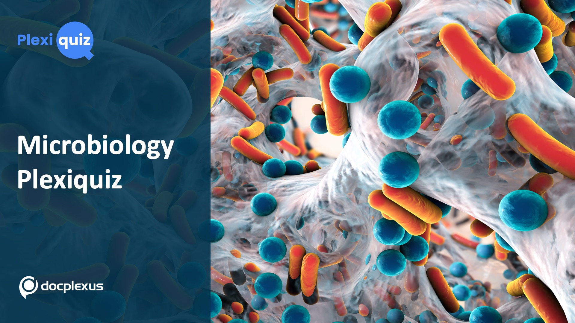 A Case-based Quiz on Bacterial Infections