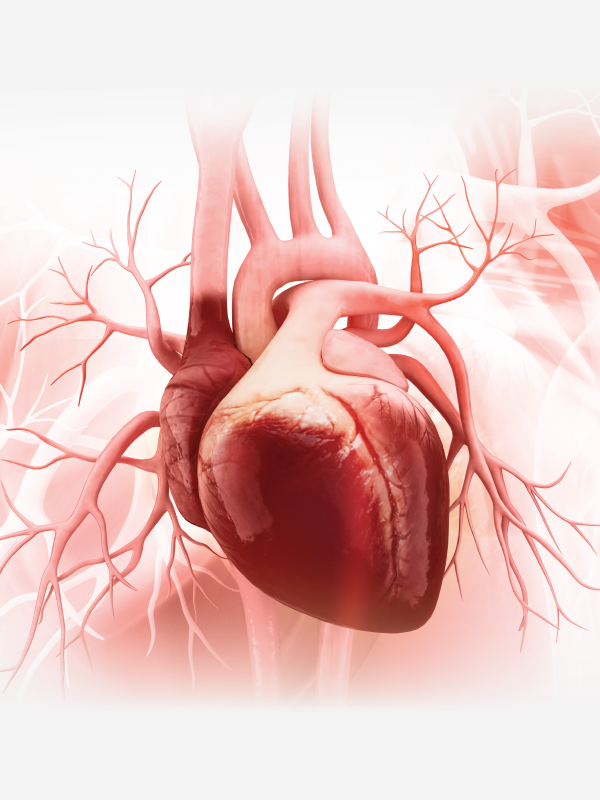 Heart Transplant & LVAD Therapies: Assigning the Right Patient at the Right Time