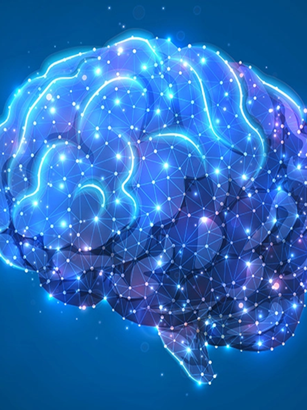 Management of Acute Ischemic Stroke in the Therapeutic Window