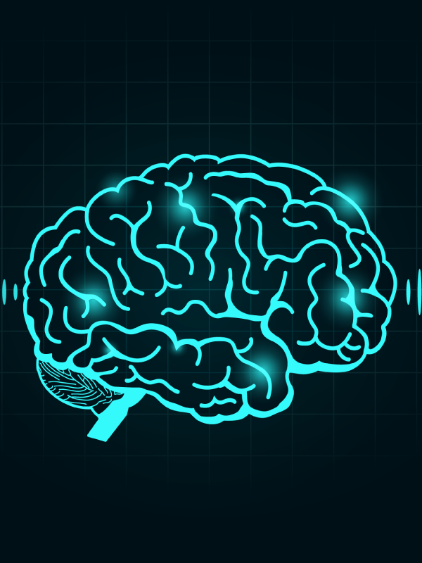 Management of Epilepsy in Women – Challenges and Opportunities