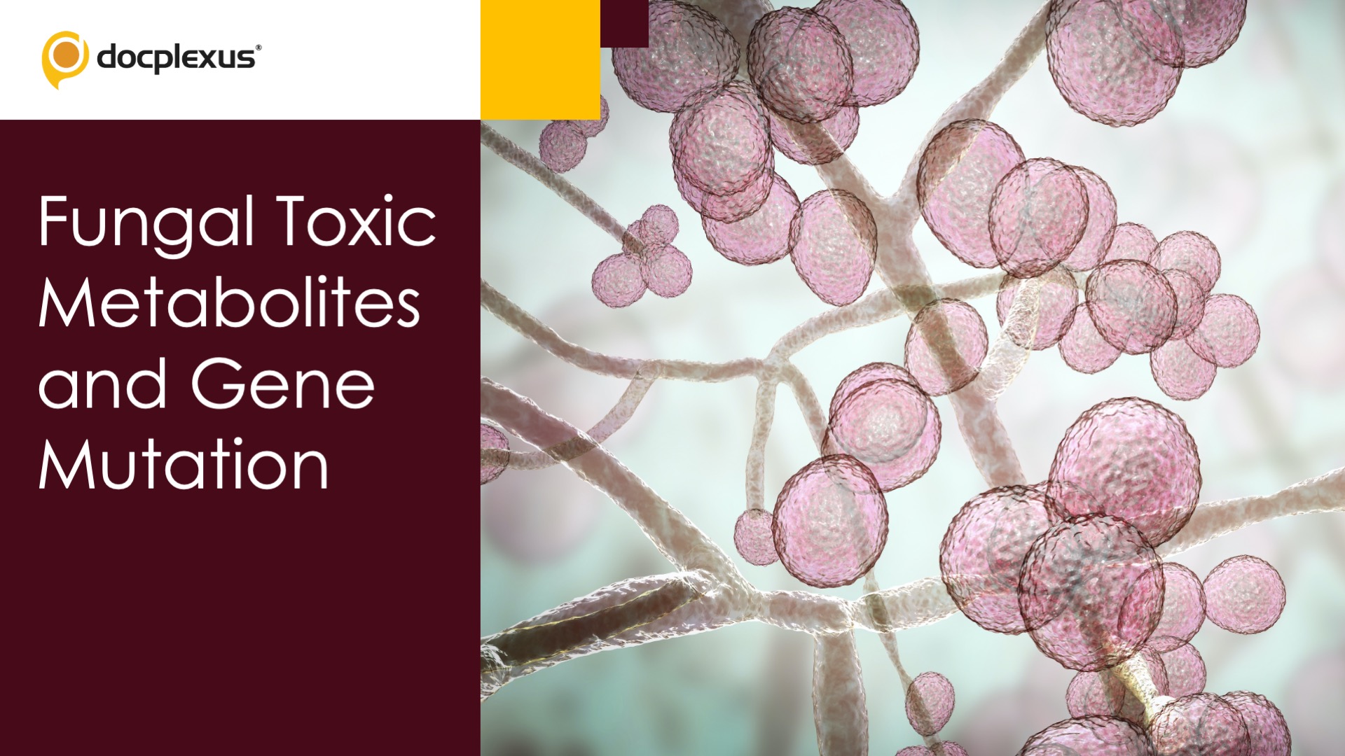 Fungal Toxic Metabolites and Gene Mutation