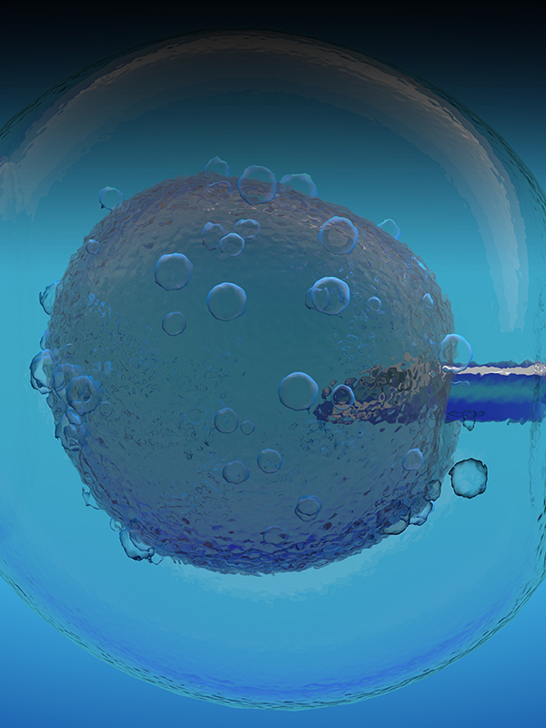 Steps to Perfect the In Vitro Fertilization Technique