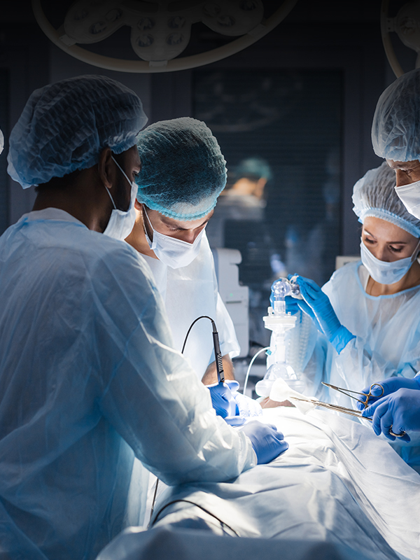 Surgical Challenges and Resources During Terrorism and Mass Casualty