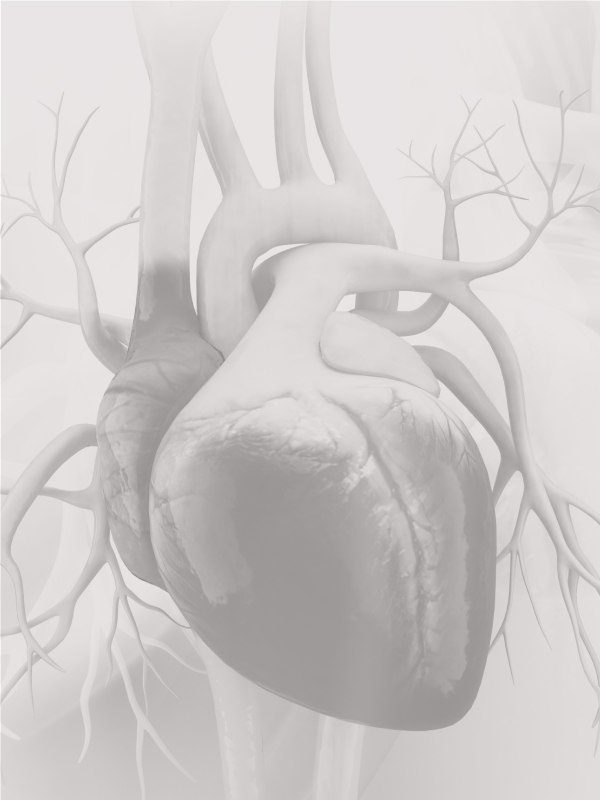 Radial Artery vs. Saphenous Vein Graft for CABG as Second Conduit: Is the Debate Still on?