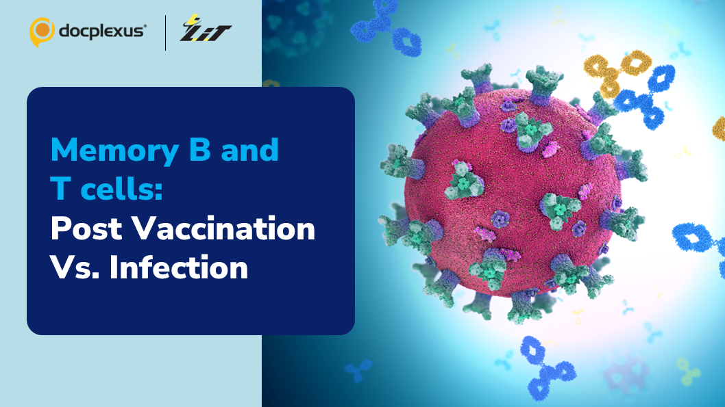 Impact of SARS-CoV-2 Infection and Vaccination on Memory B and T Cells Response