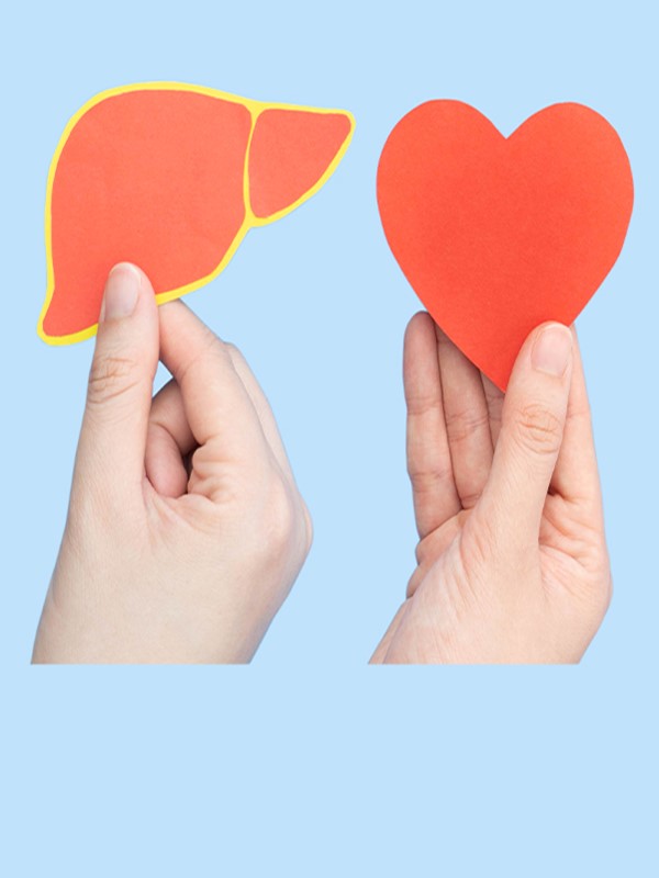 Infection in Solid Organ Transplant Recipient