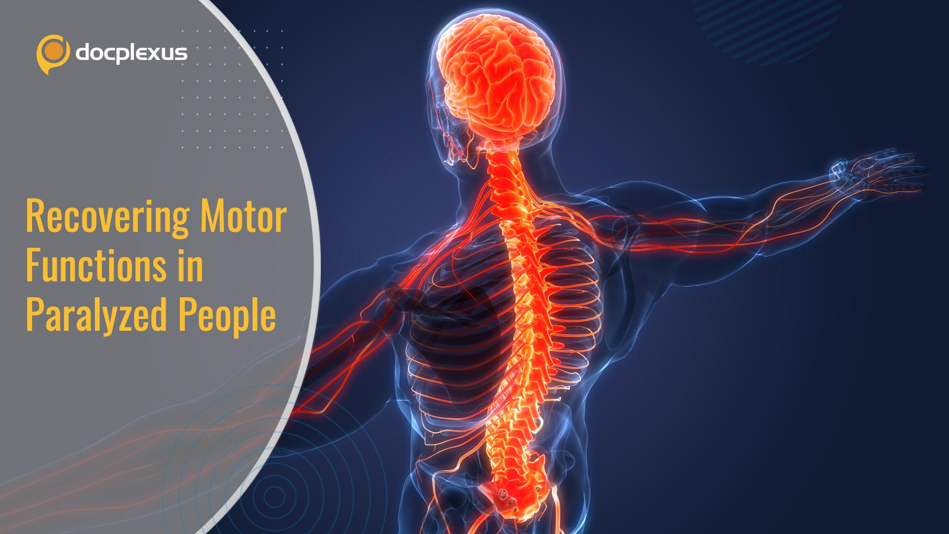 Spinal Cord Stimulation Helped Paralyzed People Walk and Swim
