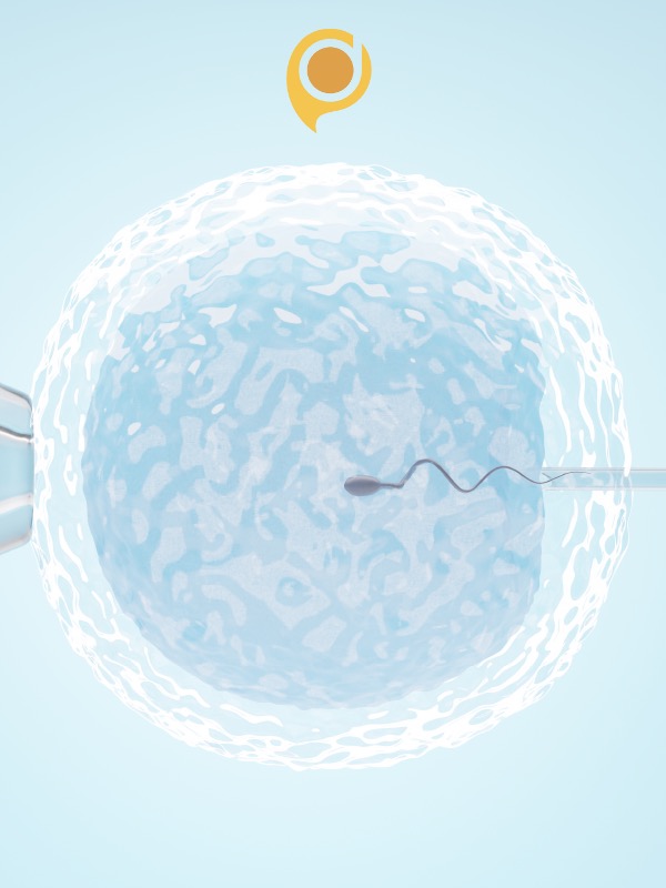 Fertility Preservation: The Current and Future Approach