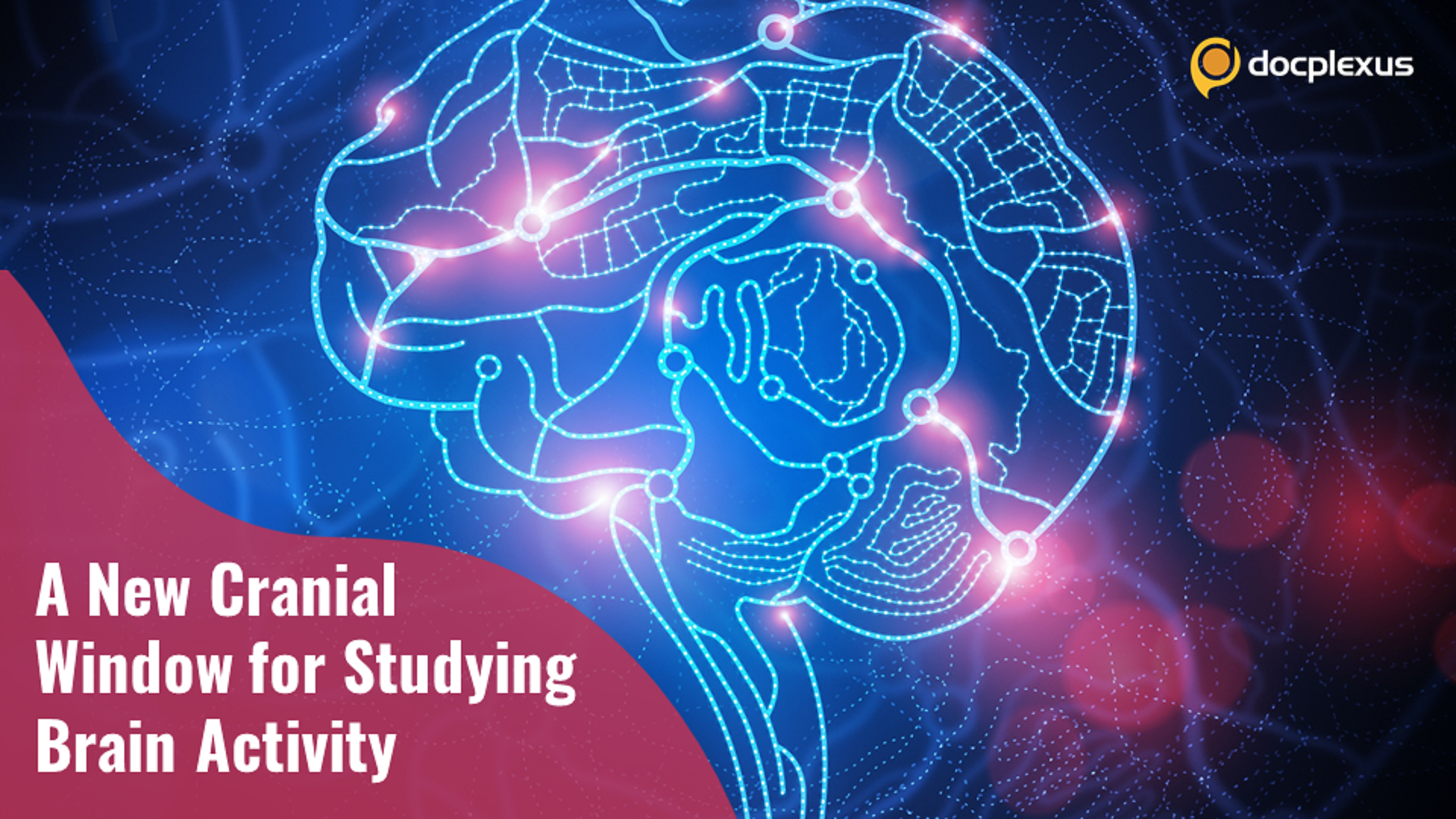 A New Cranial Window System to Study Brain Activities