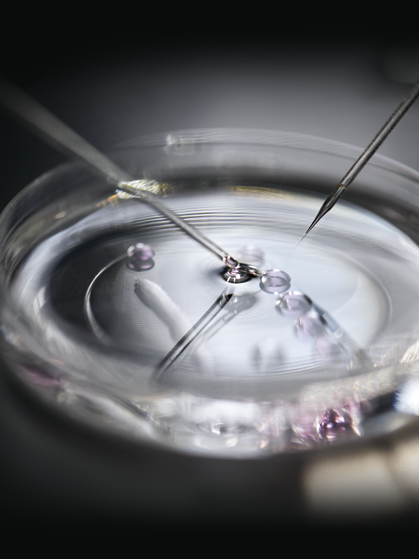 World IVF Day: Future of Assisted Reproduction