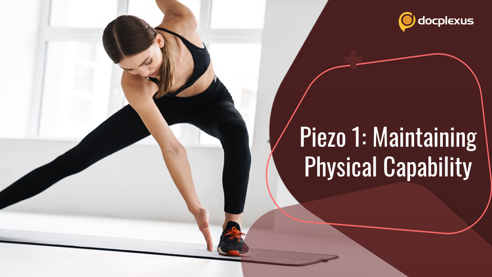 Muscle Capillary Density and Physical Activity: Role of Endothelial Piezo1