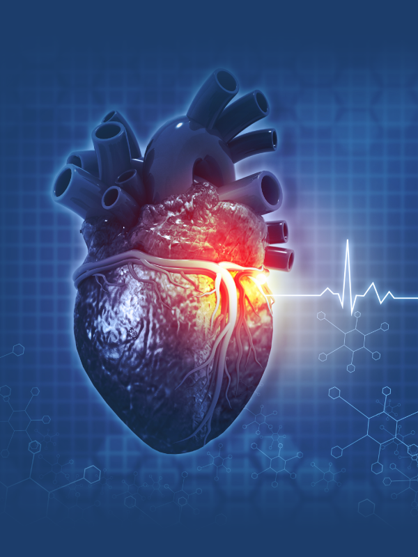 Sleep disorders and Cardiovascular risk: A partner in crime?